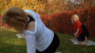 灵活的女性运动服装健身锻炼秋天公园